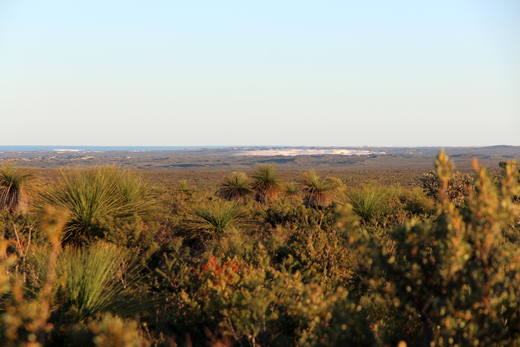 Dunes de Lancelin Western Australia